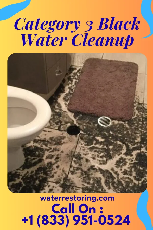 Category 3 Black Water Cleanup in Green Bluff, WA