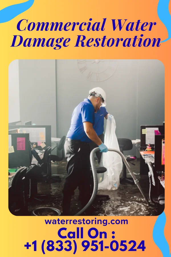 Commercial Water Damage Restoration in Green Bluff, WA