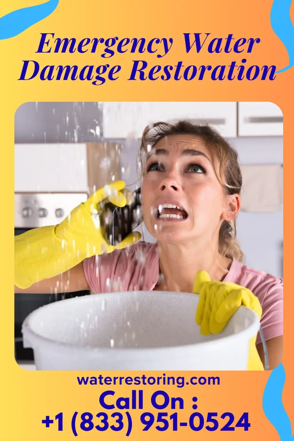Emergency Water Damage Restoration in Green Bluff, WA