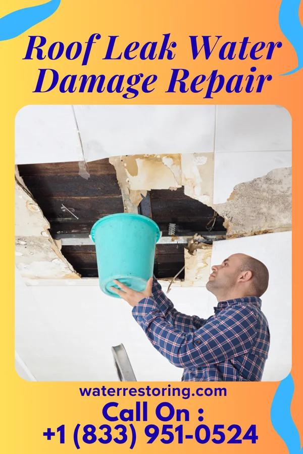 Roof Leak Water Damage Repair in Green Bluff, WA